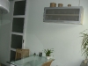 resized_cimg2330