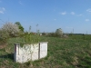 resized_p1000951