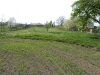 resized_p1000957
