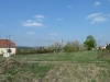 resized_p1000960